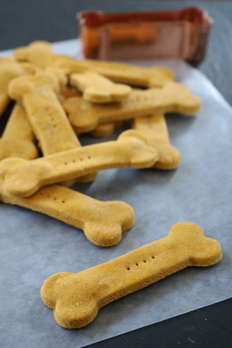 Homemade Peanut Butter and Pumpkin Dog Treats