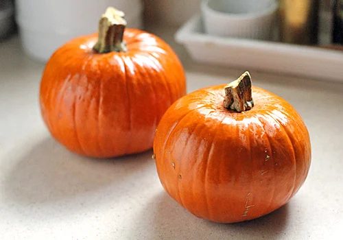 Two small, round orange pumpkins with short, thick stems sit on a light-colored countertop. The pumpkins have a shiny surface and are positioned in a kitchen setting.
