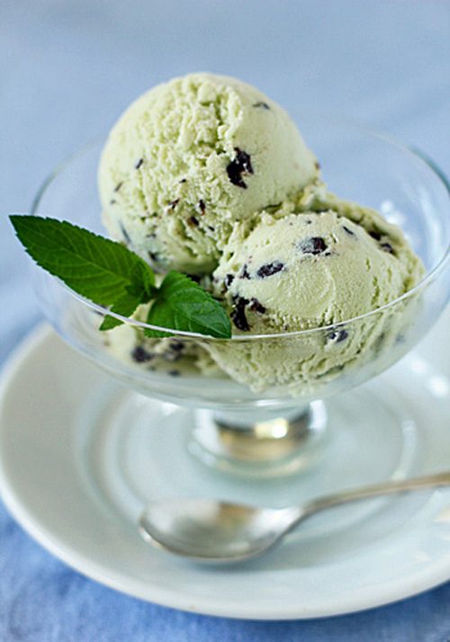 Mint Chocolate Chip Ice Cream