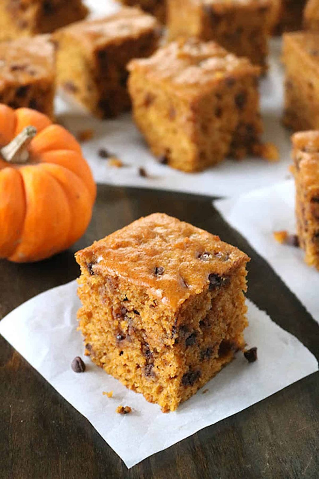 A square piece of chocolate chip pumpkin cake on a piece of parchment paper next to a small pumpkin.
