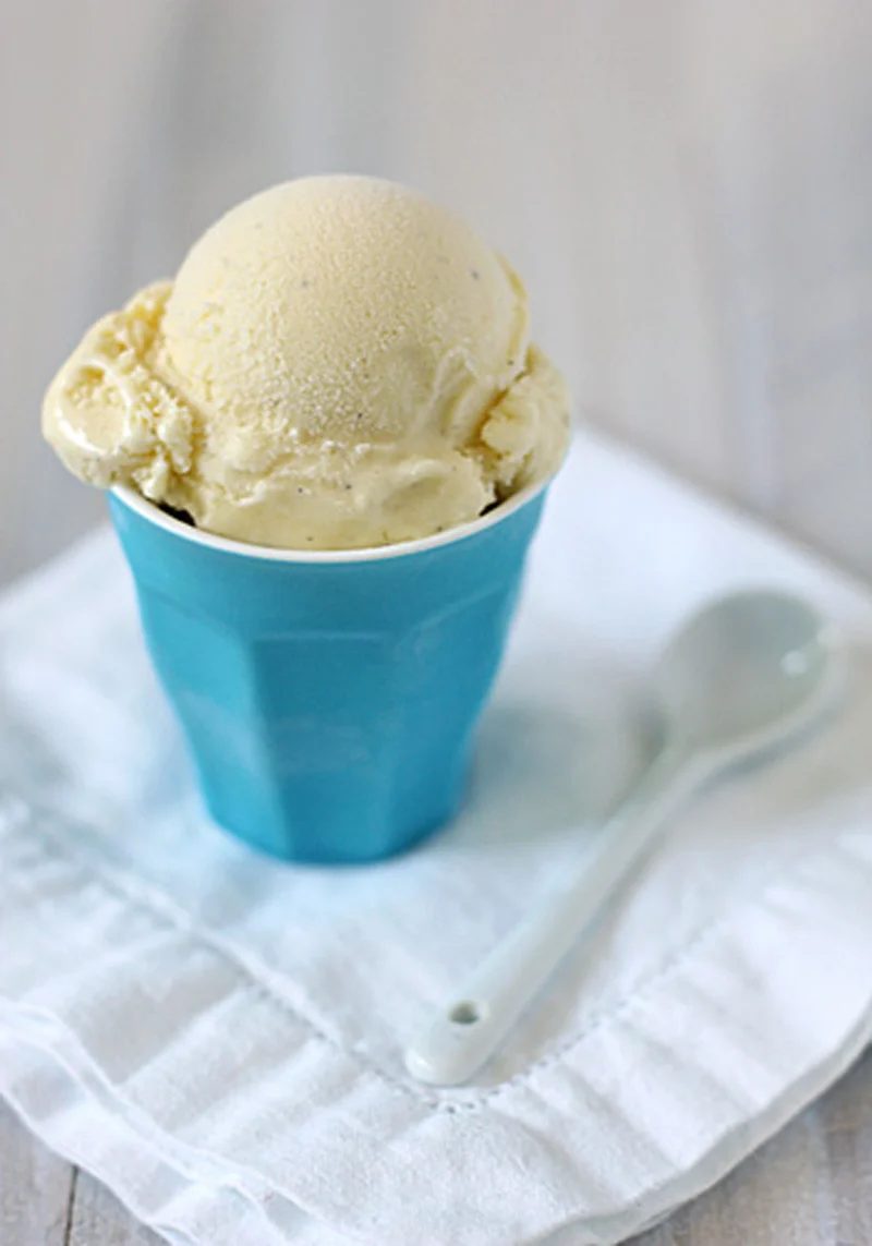 Vanilla Bean Ice Cream