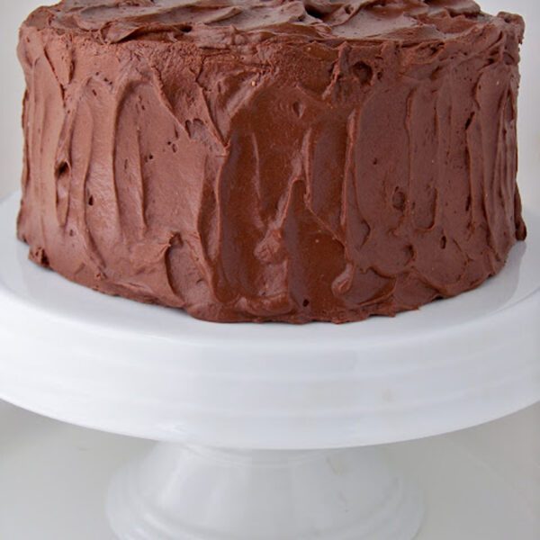A round chocolate cake with thick, textured chocolate frosting sits on a white cake stand against a plain white background.